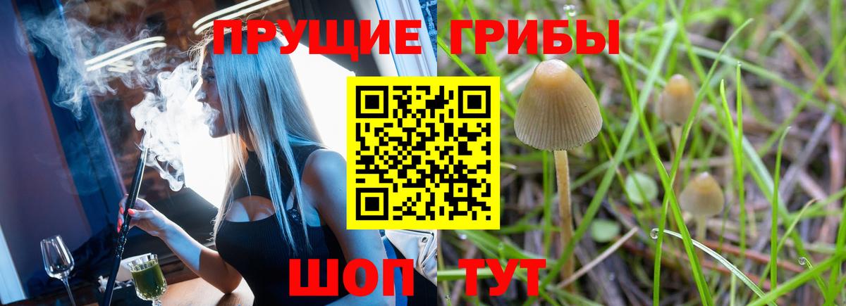 Псилоцибиновые грибы Cubensis  Вход с VPN  Берёзовский  Галлюциногенные грибы MAGIC MUSHROOMS 